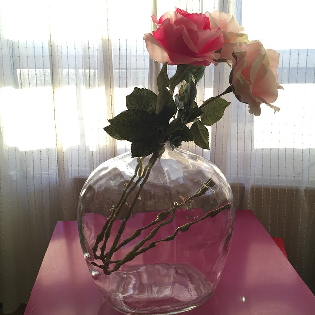 11149505_10153837521684741_1059613207665484970_n